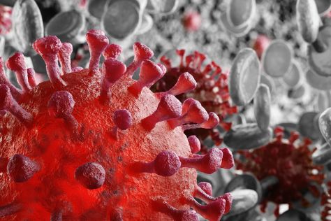 Foto: Virus